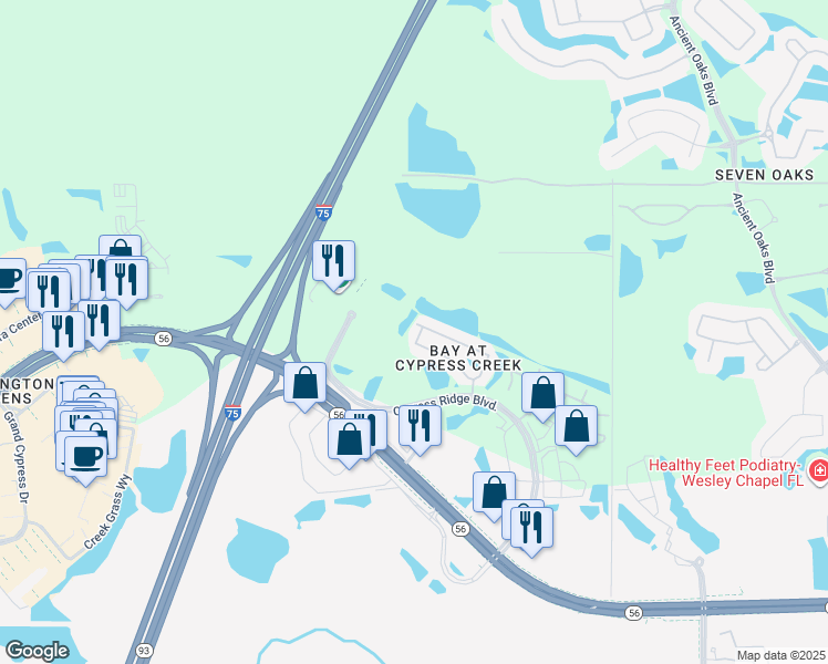map of restaurants, bars, coffee shops, grocery stores, and more near 2818 Cypress Ridge Boulevard in Wesley Chapel