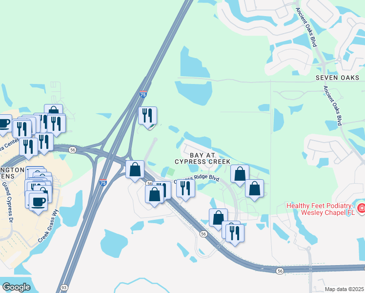 map of restaurants, bars, coffee shops, grocery stores, and more near 2818 Cypress Ridge Boulevard in Wesley Chapel
