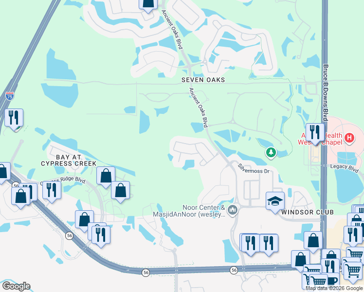 map of restaurants, bars, coffee shops, grocery stores, and more near 27202 Fordham Drive in Wesley Chapel