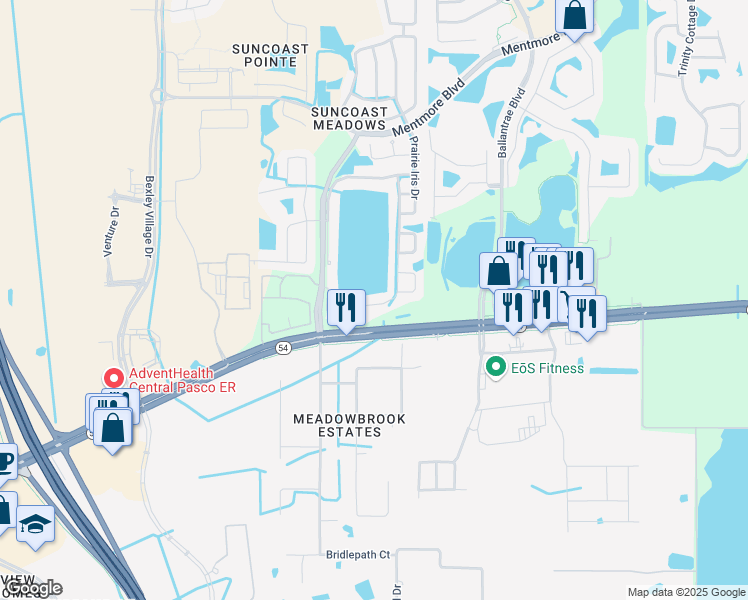 map of restaurants, bars, coffee shops, grocery stores, and more near 2531 Butterfly Landing Drive in Land O' Lakes