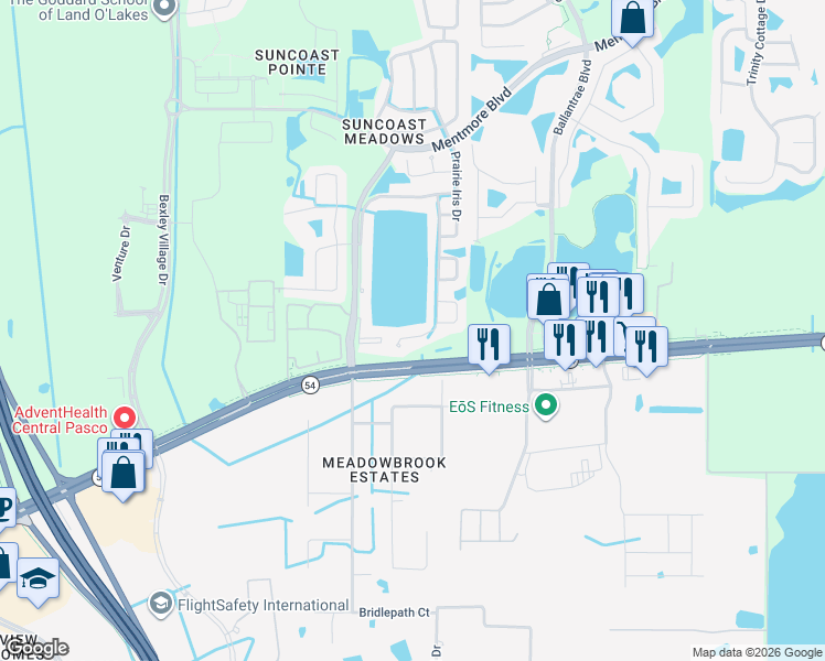 map of restaurants, bars, coffee shops, grocery stores, and more near 2531 Butterfly Landing Drive in Land O' Lakes