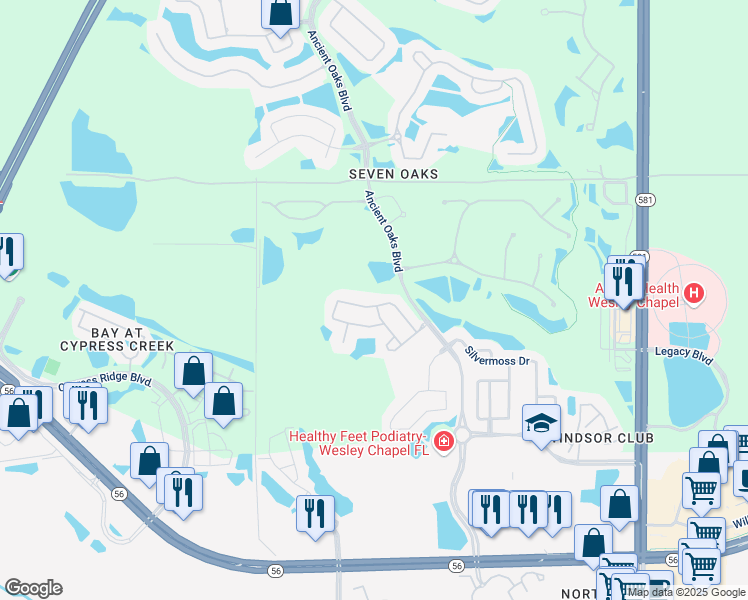 map of restaurants, bars, coffee shops, grocery stores, and more near 27229 Fordham Drive in Wesley Chapel