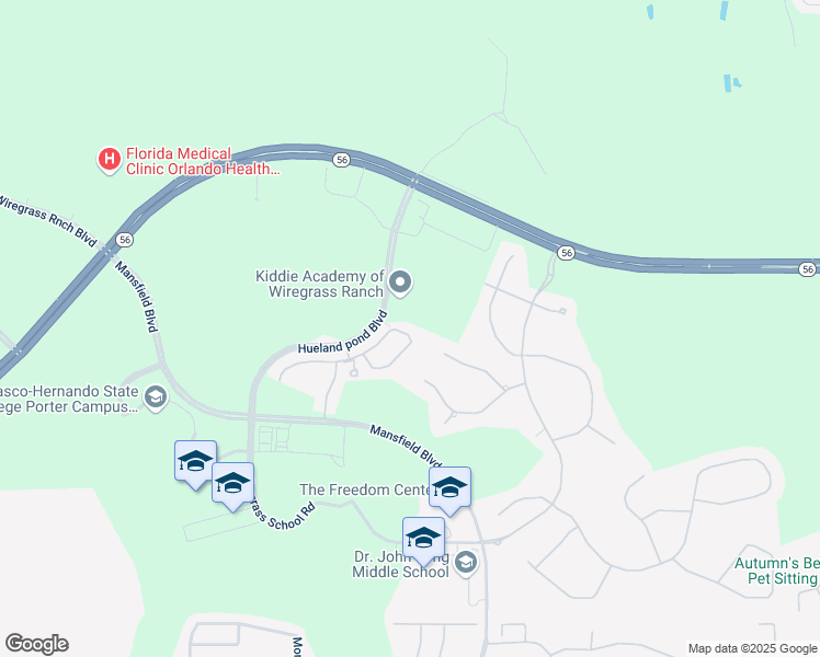 map of restaurants, bars, coffee shops, grocery stores, and more near 30157 Southwell Lane in Wesley Chapel