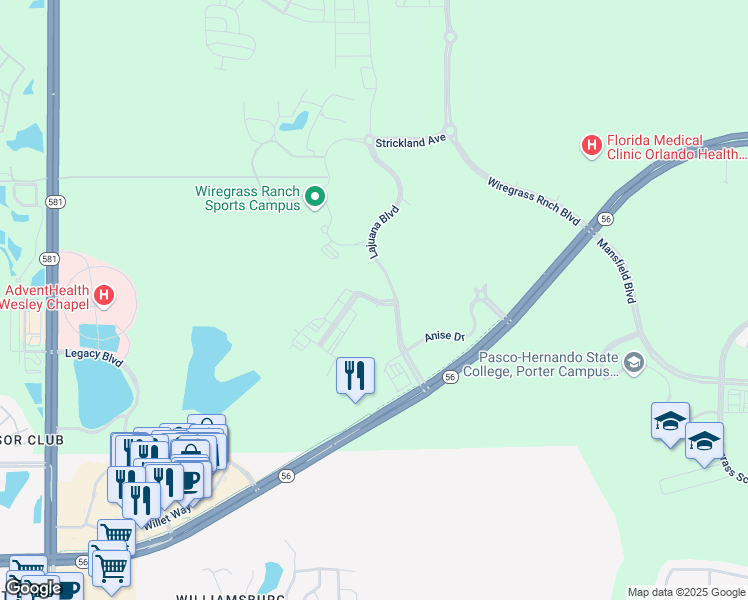 map of restaurants, bars, coffee shops, grocery stores, and more near 2539 Greenhaven Avenue in Wesley Chapel