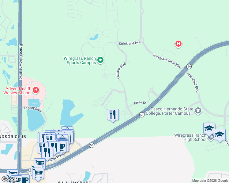 map of restaurants, bars, coffee shops, grocery stores, and more near 2539 Greenhaven Avenue in Wesley Chapel