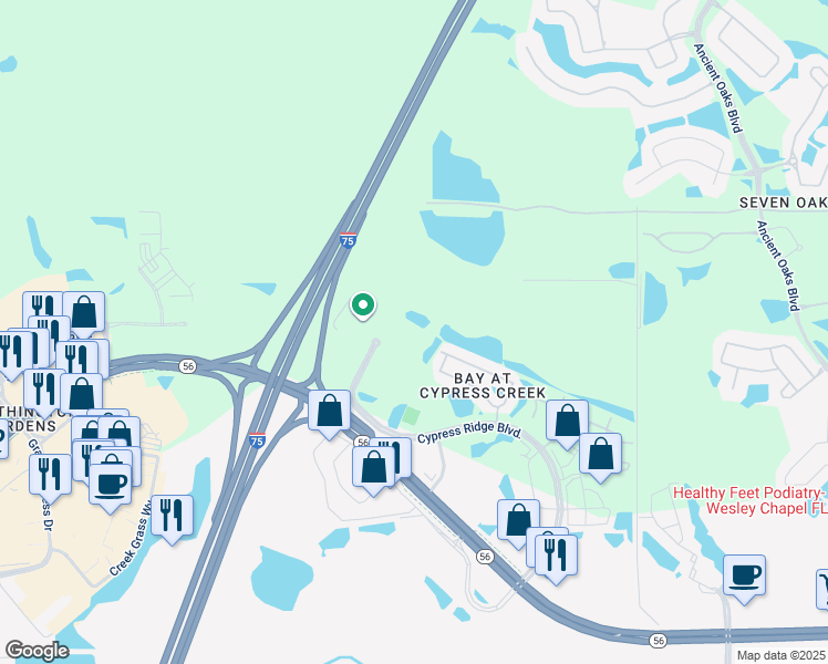 map of restaurants, bars, coffee shops, grocery stores, and more near 2818 Cypress Ridge Boulevard in Wesley Chapel