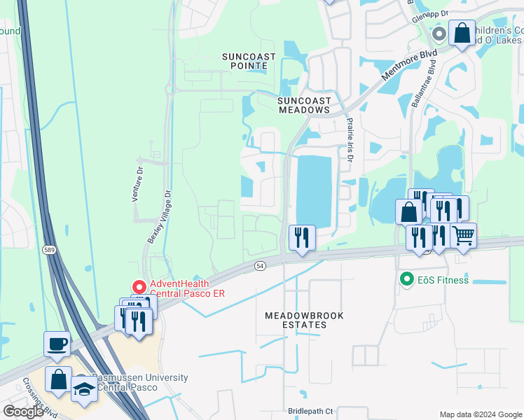 map of restaurants, bars, coffee shops, grocery stores, and more near 17046 Odessa Drive in Land O' Lakes