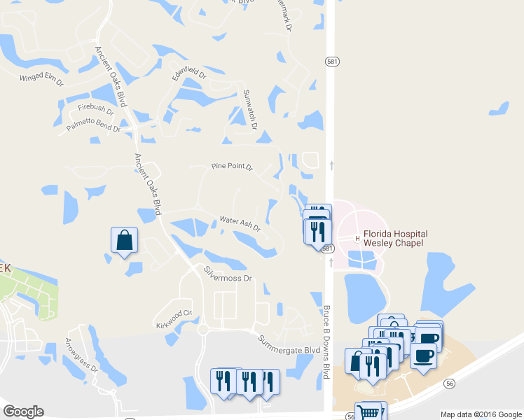 map of restaurants, bars, coffee shops, grocery stores, and more near 2744 Lake Valley Pl in Wesley Chapel