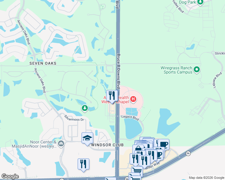 map of restaurants, bars, coffee shops, grocery stores, and more near 2757 Birchcreek Drive in Wesley Chapel