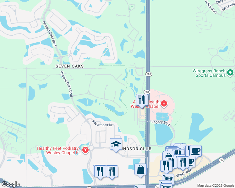 map of restaurants, bars, coffee shops, grocery stores, and more near 2744 Lake Valley Place in Wesley Chapel