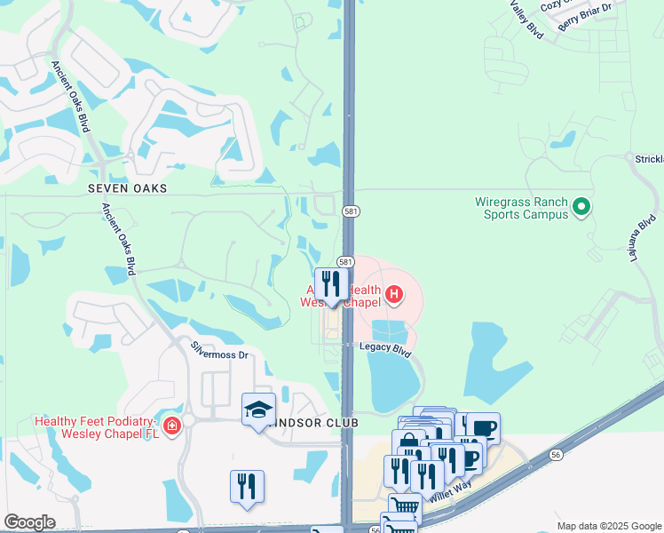map of restaurants, bars, coffee shops, grocery stores, and more near 2757 Birchcreek Drive in Wesley Chapel