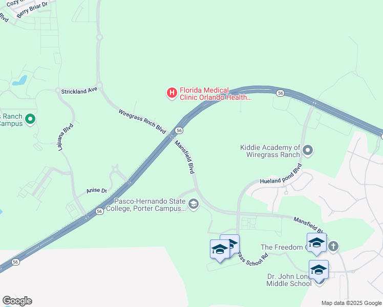 map of restaurants, bars, coffee shops, grocery stores, and more near 2558 stapleford place in Wesley Chapel