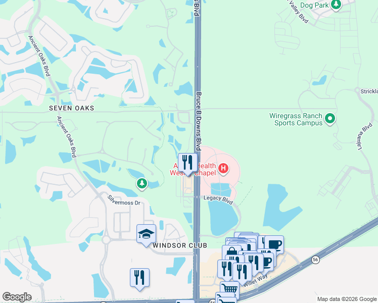 map of restaurants, bars, coffee shops, grocery stores, and more near 2757 Birchcreek Drive in Wesley Chapel
