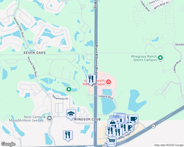 map of restaurants, bars, coffee shops, grocery stores, and more near 2802 Birchcreek Drive in Wesley Chapel