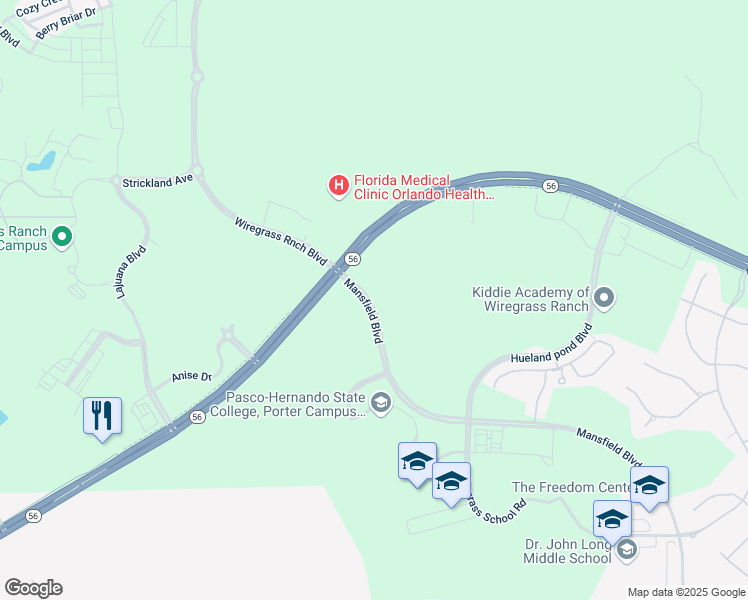 map of restaurants, bars, coffee shops, grocery stores, and more near 2558 Stapleford Place in Wesley Chapel