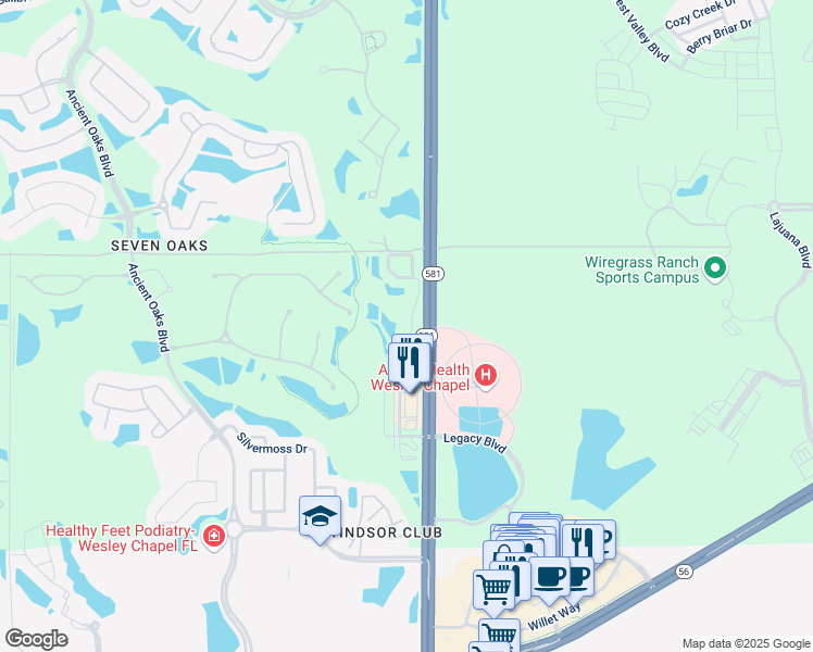 map of restaurants, bars, coffee shops, grocery stores, and more near 2813 Birchcreek Drive in Wesley Chapel