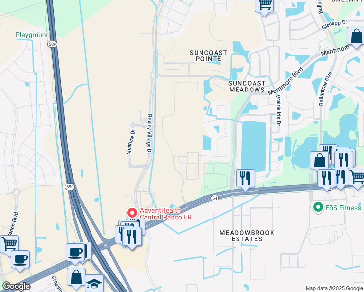 map of restaurants, bars, coffee shops, grocery stores, and more near 16915 Florida 54 in Lutz