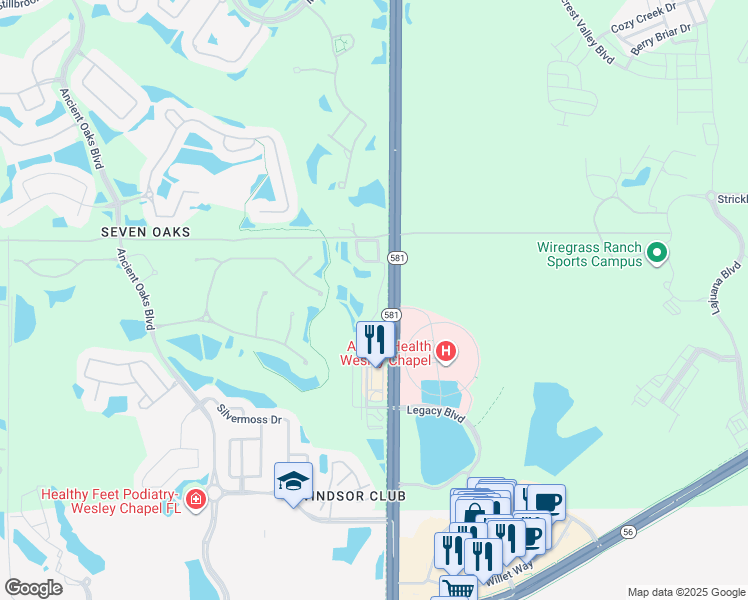 map of restaurants, bars, coffee shops, grocery stores, and more near 2821 Birchcreek Drive in Wesley Chapel