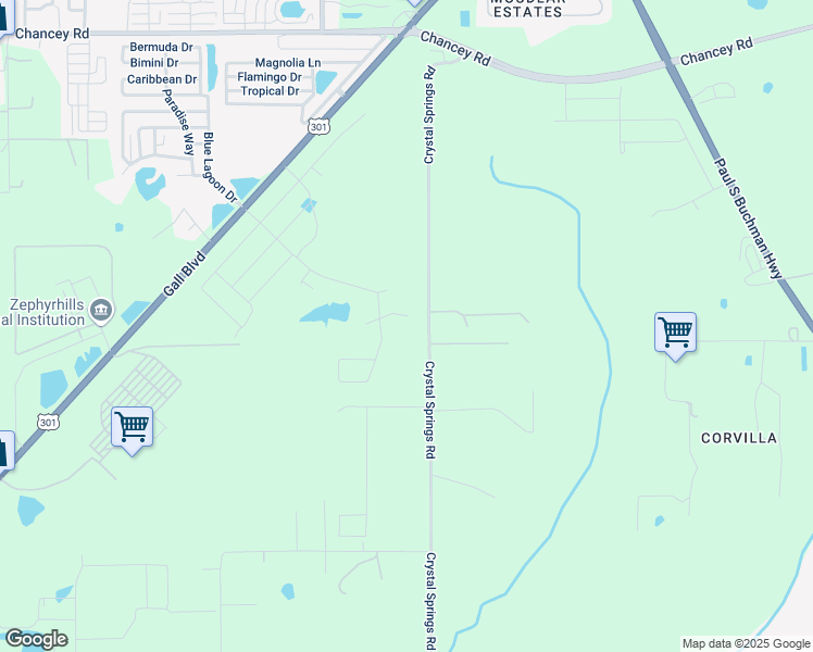 map of restaurants, bars, coffee shops, grocery stores, and more near 38193 Shale Stone Court in Zephyrhills