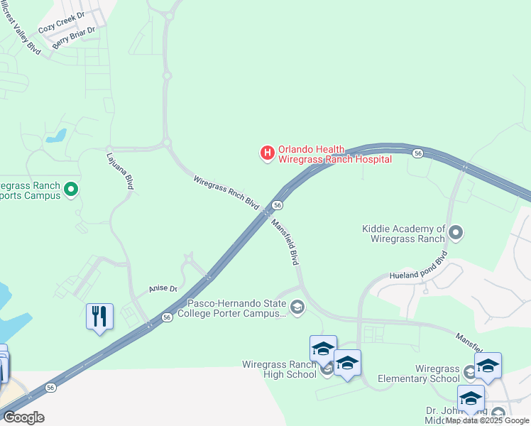 map of restaurants, bars, coffee shops, grocery stores, and more near in Wesley Chapel
