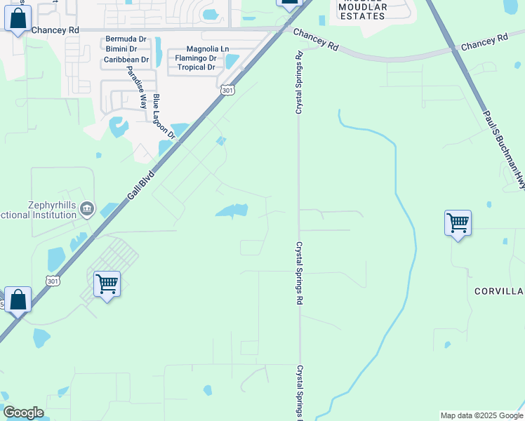 map of restaurants, bars, coffee shops, grocery stores, and more near 38137 Shale Stone Court in Zephyrhills