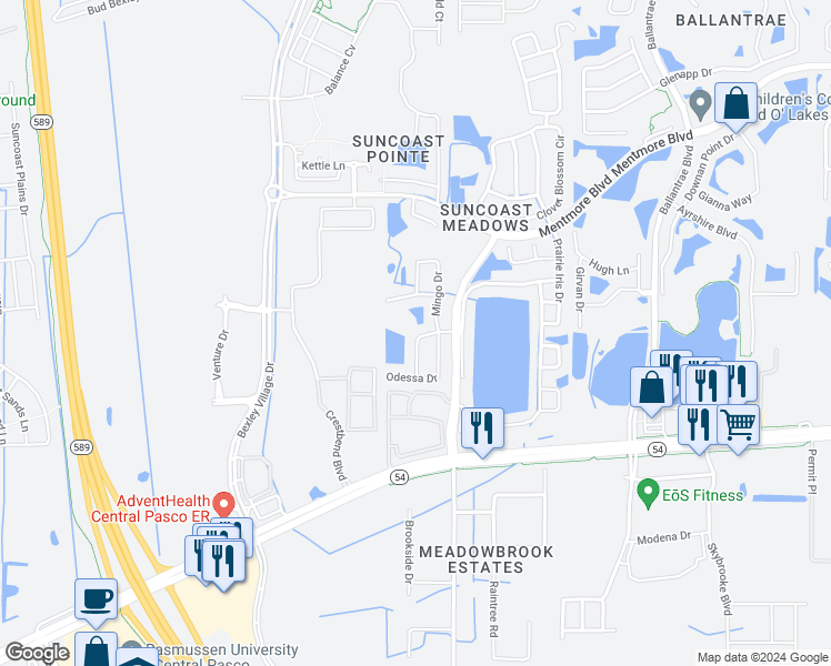 map of restaurants, bars, coffee shops, grocery stores, and more near 2803 Heathgate Way in Land O' Lakes