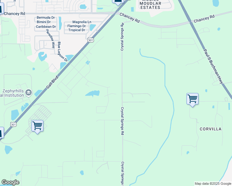 map of restaurants, bars, coffee shops, grocery stores, and more near 38193 Shale Stone Court in Zephyrhills