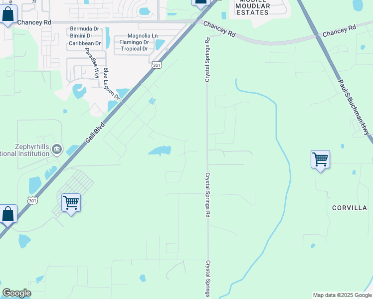 map of restaurants, bars, coffee shops, grocery stores, and more near 38137 Shale Stone Court in Zephyrhills