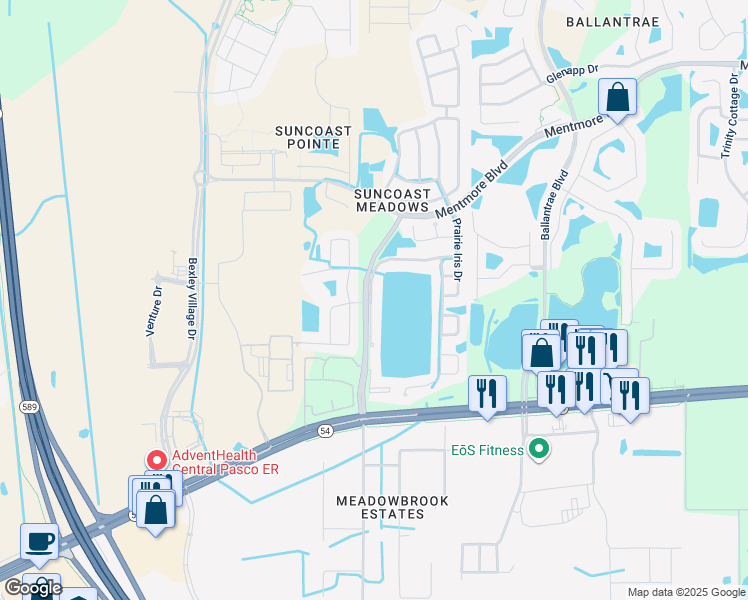 map of restaurants, bars, coffee shops, grocery stores, and more near 2808 Musky Mint Drive in Land O' Lakes
