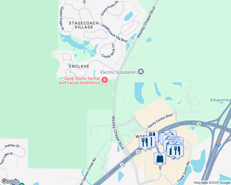 map of restaurants, bars, coffee shops, grocery stores, and more near 25278 Wesley Chapel Boulevard in Lutz