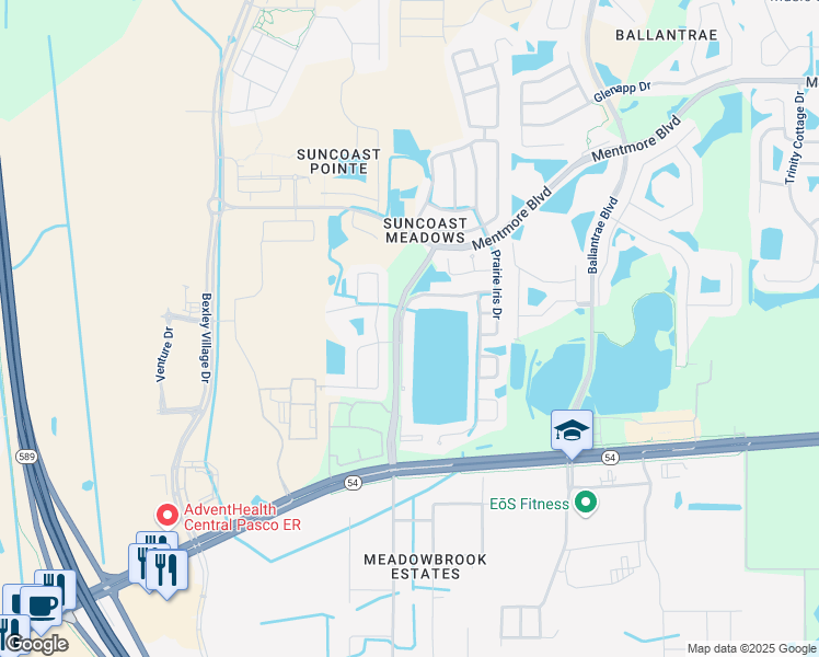 map of restaurants, bars, coffee shops, grocery stores, and more near 2808 Musky Mint Drive in Land O' Lakes