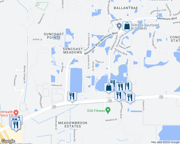 map of restaurants, bars, coffee shops, grocery stores, and more near 2826 Prairie Iris Drive in Land O' Lakes