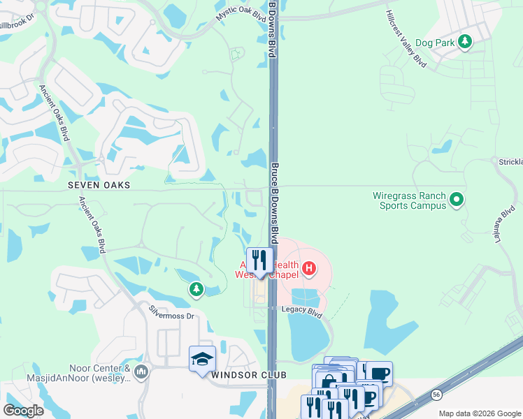 map of restaurants, bars, coffee shops, grocery stores, and more near 2907 Birchcreek Drive in Wesley Chapel