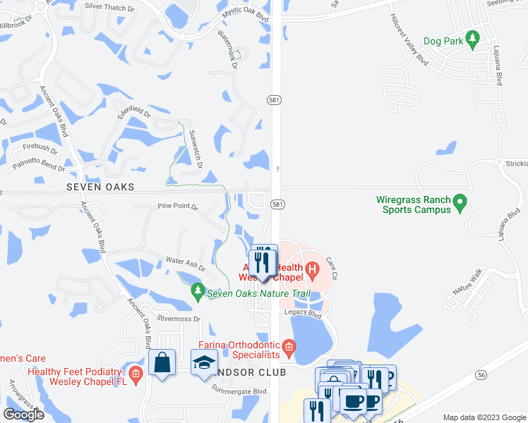 map of restaurants, bars, coffee shops, grocery stores, and more near 2907 Birchcreek Drive in Wesley Chapel