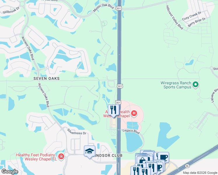 map of restaurants, bars, coffee shops, grocery stores, and more near 2931 Birchcreek Drive in Wesley Chapel
