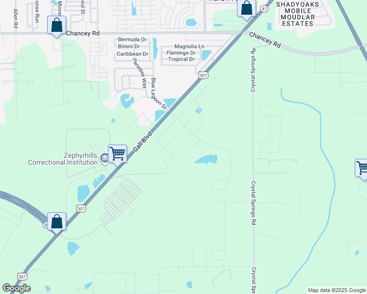 map of restaurants, bars, coffee shops, grocery stores, and more near 2924 Gall Boulevard in Zephyrhills