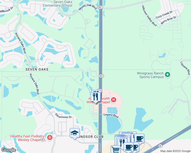 map of restaurants, bars, coffee shops, grocery stores, and more near 2939 Willowleaf Lane in Wesley Chapel