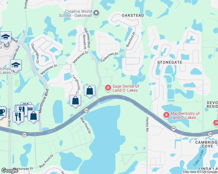 map of restaurants, bars, coffee shops, grocery stores, and more near 19651 Florida 54 in Lutz