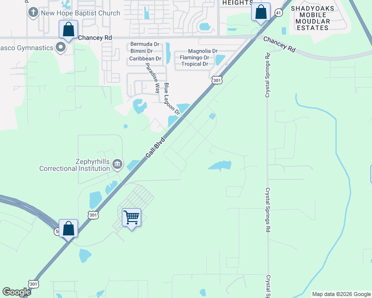 map of restaurants, bars, coffee shops, grocery stores, and more near 2924 Gall Boulevard in Zephyrhills
