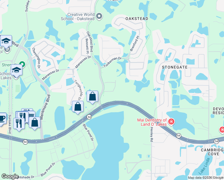 map of restaurants, bars, coffee shops, grocery stores, and more near 19651 Florida 54 in Lutz