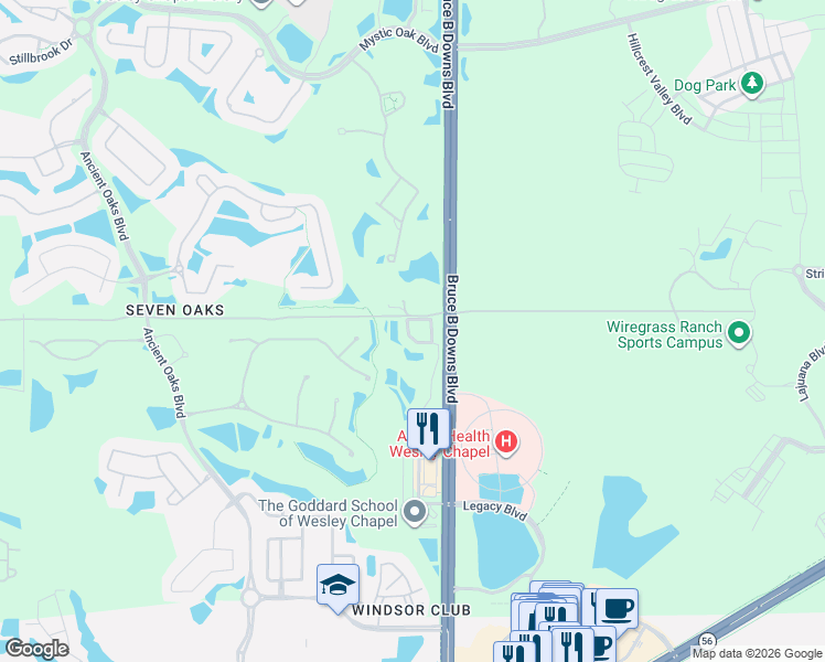 map of restaurants, bars, coffee shops, grocery stores, and more near 2957 Willowleaf Lane in Wesley Chapel
