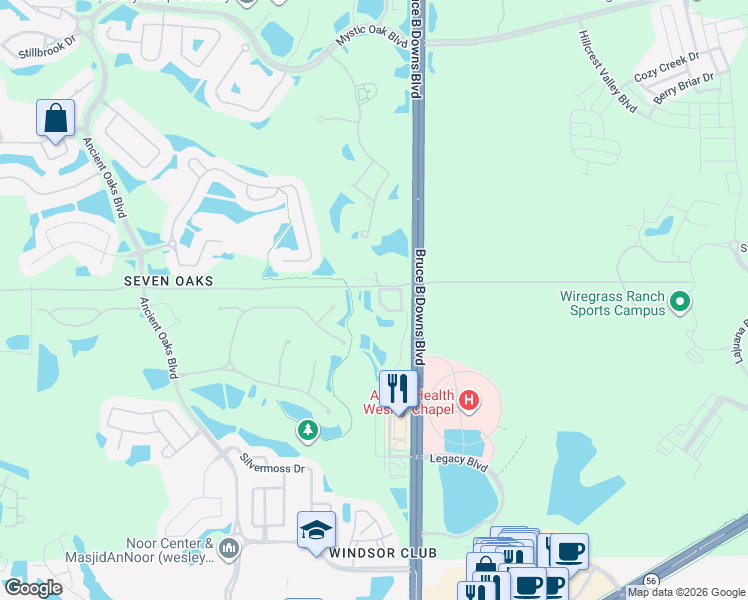 map of restaurants, bars, coffee shops, grocery stores, and more near 2947 Birchcreek Drive in Wesley Chapel