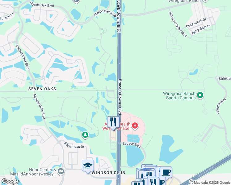 map of restaurants, bars, coffee shops, grocery stores, and more near 2957 Willowleaf Lane in Wesley Chapel
