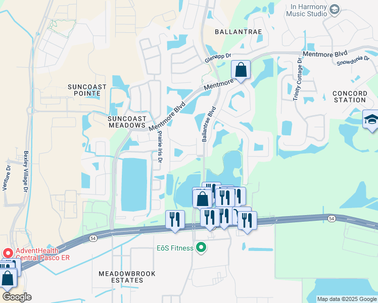 map of restaurants, bars, coffee shops, grocery stores, and more near 17539 Stinchar Drive in Land O' Lakes