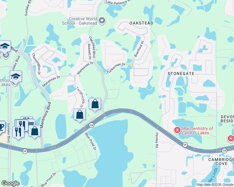 map of restaurants, bars, coffee shops, grocery stores, and more near 19651 Florida 54 in Lutz