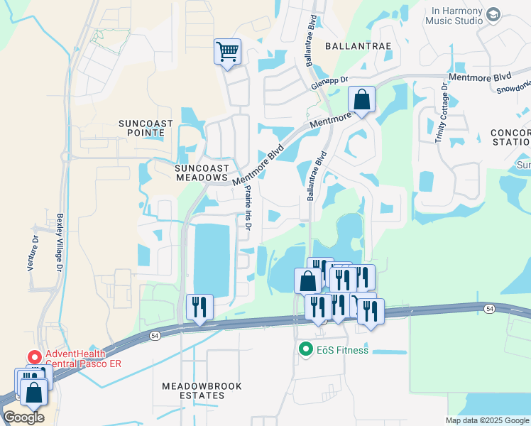 map of restaurants, bars, coffee shops, grocery stores, and more near 2916 Girvan Drive in Land O' Lakes