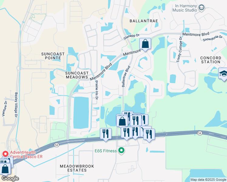 map of restaurants, bars, coffee shops, grocery stores, and more near 17539 Stinchar Drive in Land O' Lakes
