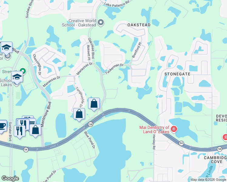 map of restaurants, bars, coffee shops, grocery stores, and more near 19651 Florida 54 in Lutz