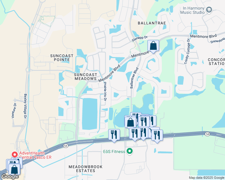 map of restaurants, bars, coffee shops, grocery stores, and more near 2932 Girvan Drive in Land O' Lakes