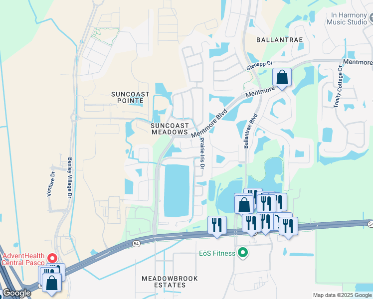 map of restaurants, bars, coffee shops, grocery stores, and more near 17249 Blooming Fields Drive in Land O' Lakes